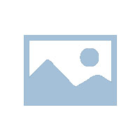 海外仓服务报价